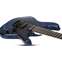 Schecter Sun Valley Super Shredder Blue Reign FR-S Front View