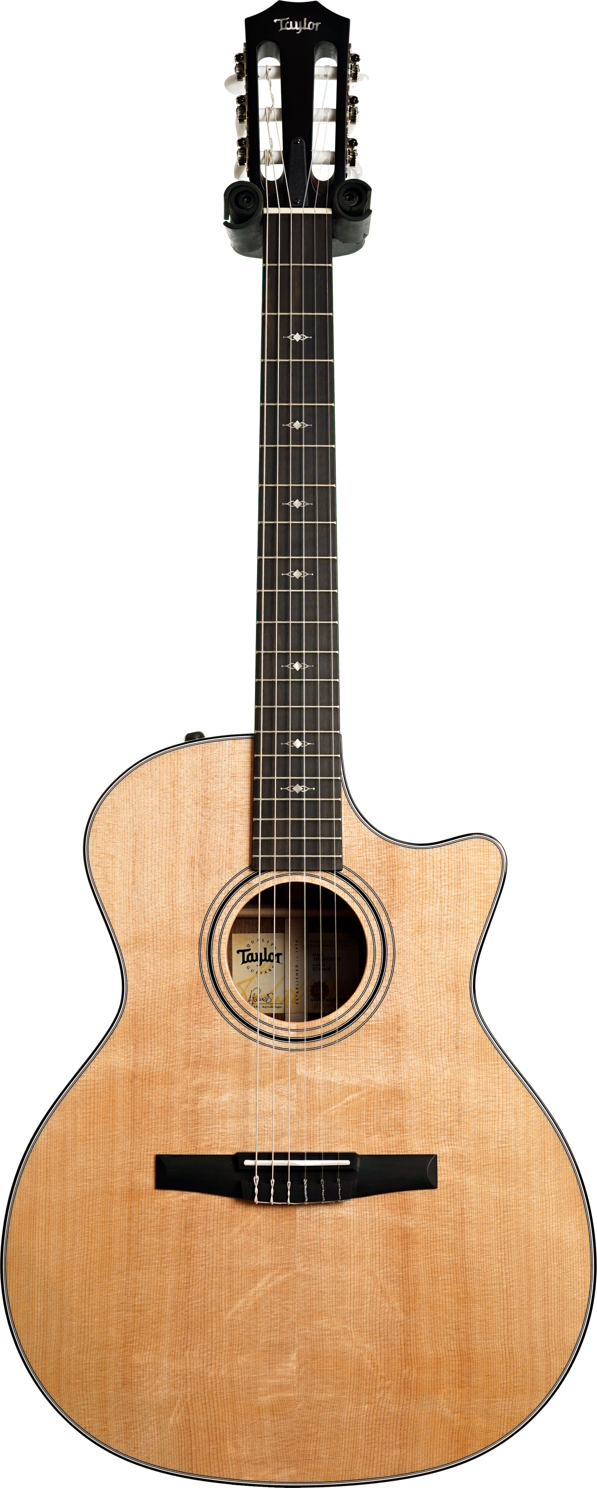 Taylor 314ce-N Nylon Grand Auditorium #1209255006
