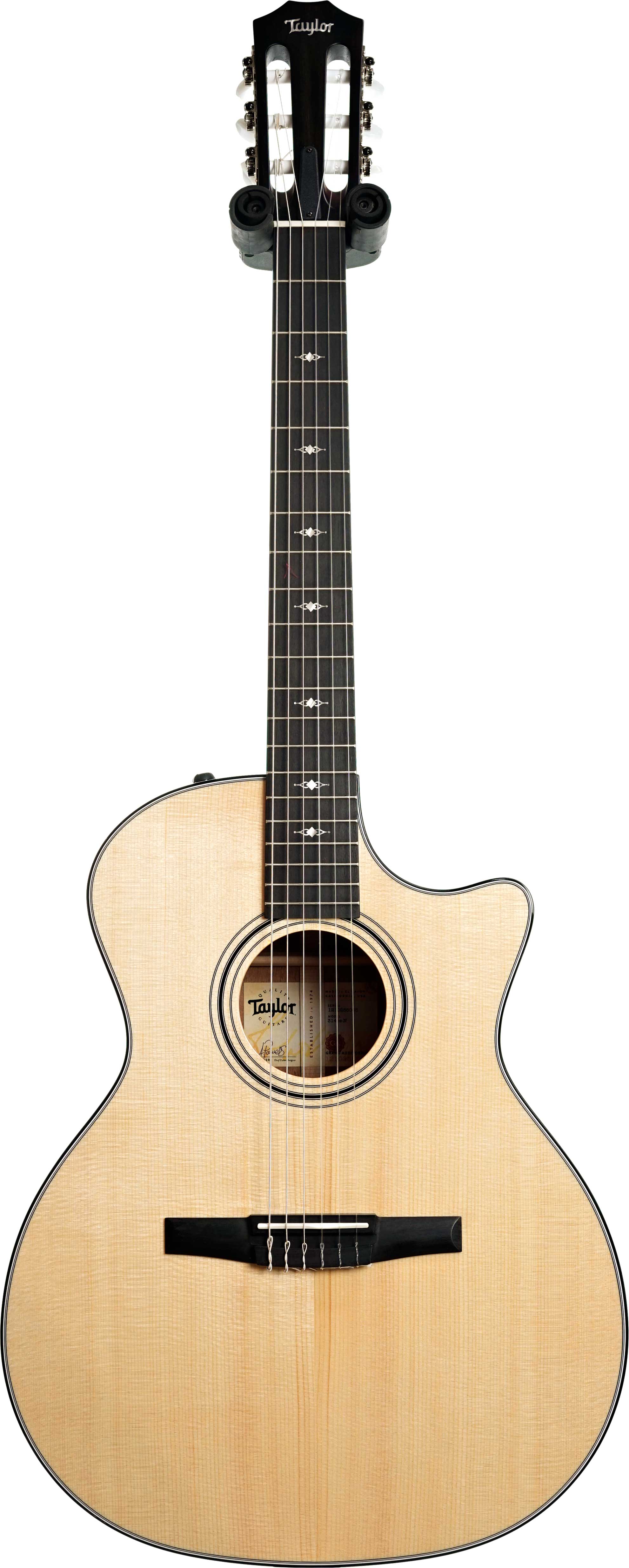 Taylor 314ce-N Nylon Grand Auditorium #1210285048