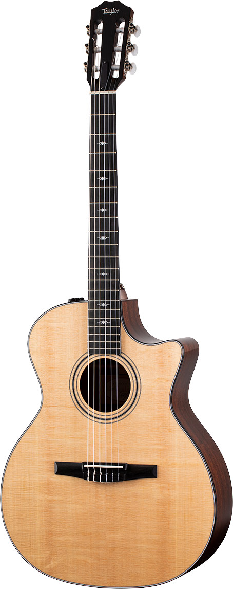 taylor 314 nylon