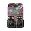 Catalinbread Limited Edition Belle Epoch and Epoch Boost Boxset Front View