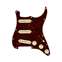 Fender Pre-Wired Stratocaster Pickguard Custom Shop Fat 50's SSS Tortoise Shell 11 Hole Front View