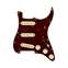 Fender Pre-Wired Stratocaster Pickguard Custom Shop Texas Special SSS Tortoise Shell 11 Hole Front View