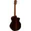 Faith Venus HiGloss 3 Piece Rosewood Left Handed Back View