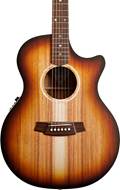 Cole Clark AN2EC All Blackwood Sunburst Rosewood Fingerboard #211013768