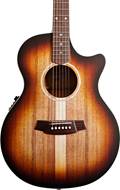 Cole Clark AN2EC All Blackwood Sunburst Rosewood Fingerboard #211013769