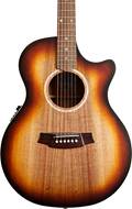 Cole Clark AN2EC All Blackwood Sunburst Rosewood Fingerboard #211012721