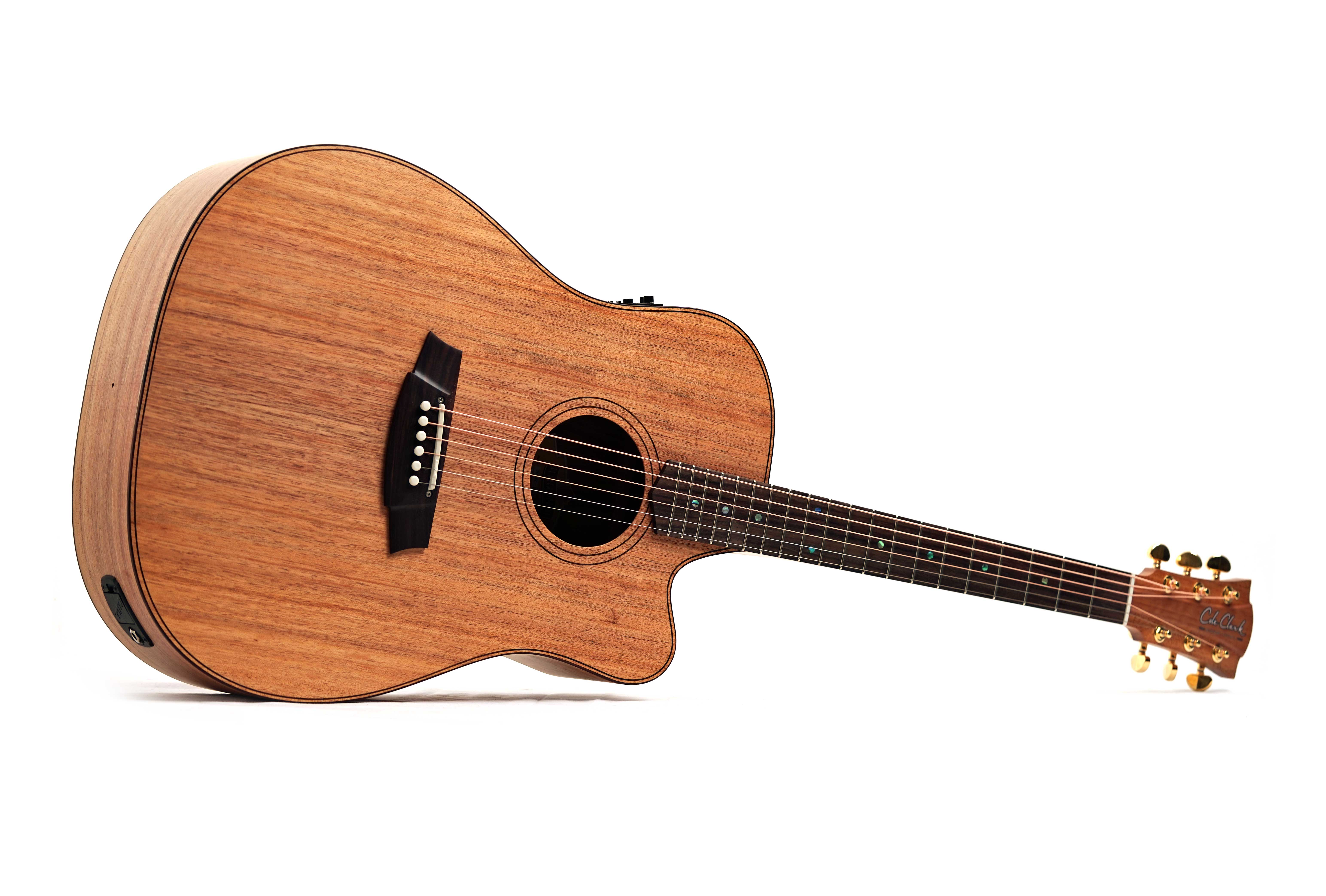 Cole Clark FL2EC All Blackwood Rosewood Fingerboard #2605-39736