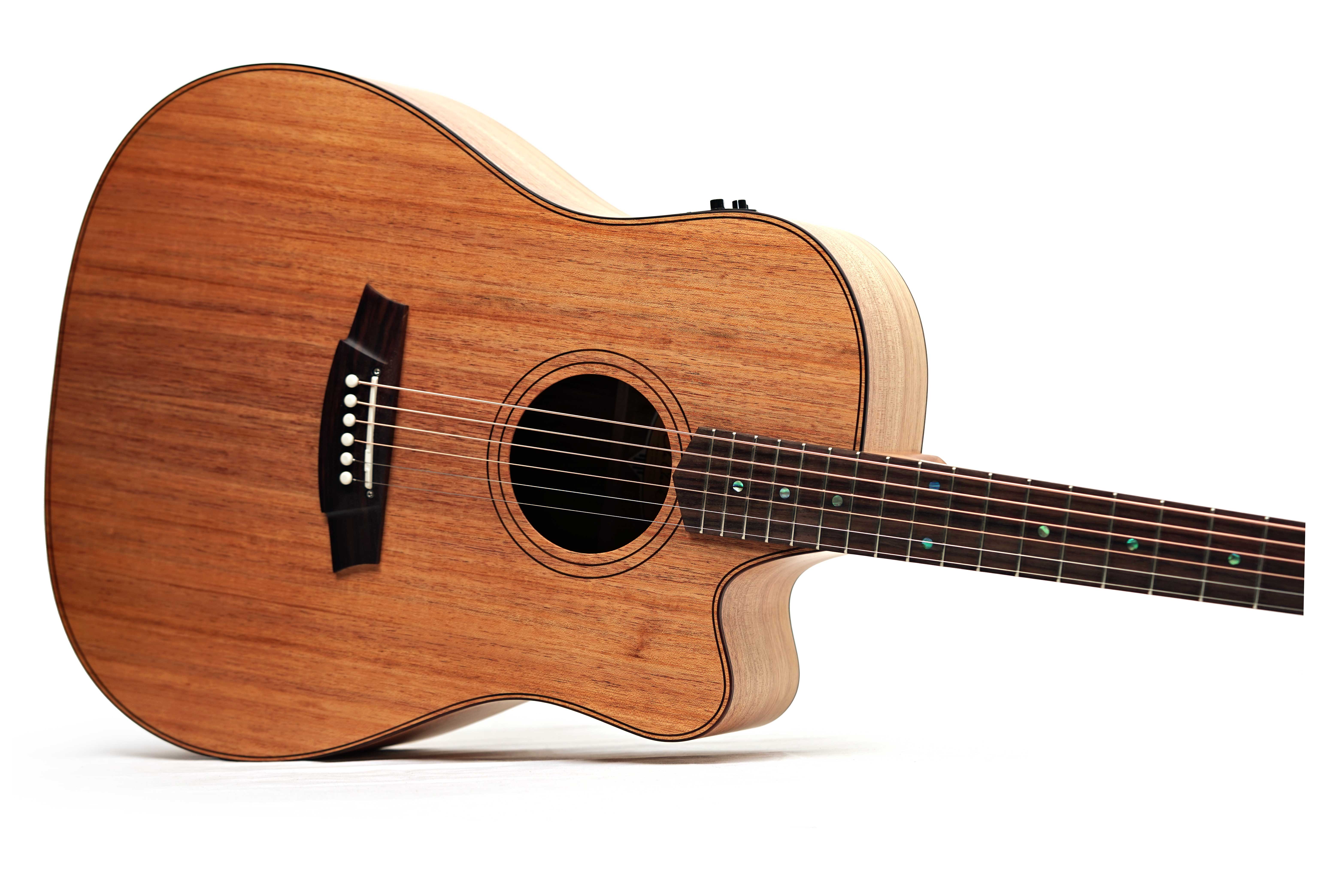 Cole Clark FL2EC All Blackwood Rosewood Fingerboard #2605-39736