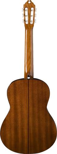 Washburn C5 Washburn C5