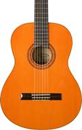 Washburn C5