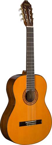 Washburn C5 Washburn C5