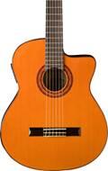 Washburn C5CE
