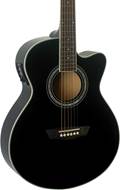 Washburn EA12