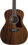 Washburn HG12S