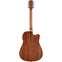 Alvarez Artist Series AD60LCE Dreadnought Cutaway Electro Acoustic Left Handed Back View