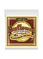 Ernie Ball Earthwood Mandolin Medium Loop End 80/20 Bronze Acoustic Guitar Strings - 10-36 Gauge