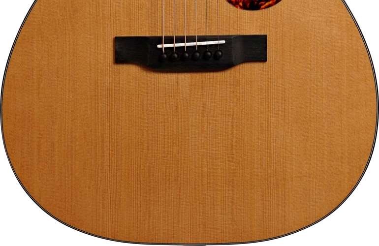 Eastman Traditional Series E1OM Orchestra Eastman Traditional Series E1OM Orchestra