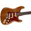 Fender Custom Shop Limited Edition Roasted '61 Stratocaster Super Heavy Relic Aged Natural Back View
