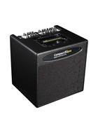 AER Compact 80 Pro Combo Acoustic Amp