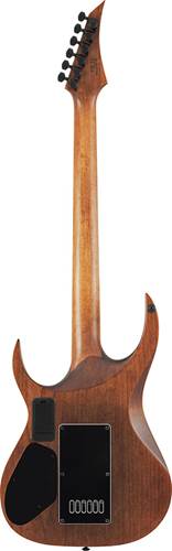 Solar Guitars A1.6AAN-27 Natural Aged Matte Solar Guitars A1.6AAN-27 Natural Aged Matte