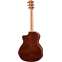 Taylor Limited Edition 214ce Deluxe Quilted Sapele Grand Auditorium Back View