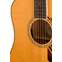Fender PD-220E Dreadnought Natural Front View