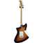 Fender Player Plus Meteora HH 3 Colour Sunburst Maple Fingerboard (Ex-Demo) #MX21552651 Back View