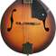 Fender PM-180E Mandolin Aged Cognac Burst Walnut Fingerboard (Ex-Demo) #CSSL21000619 