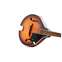 Fender PM-180E Mandolin Aged Cognac Burst Walnut Fingerboard (Ex-Demo) #CSSL21000619 Front View
