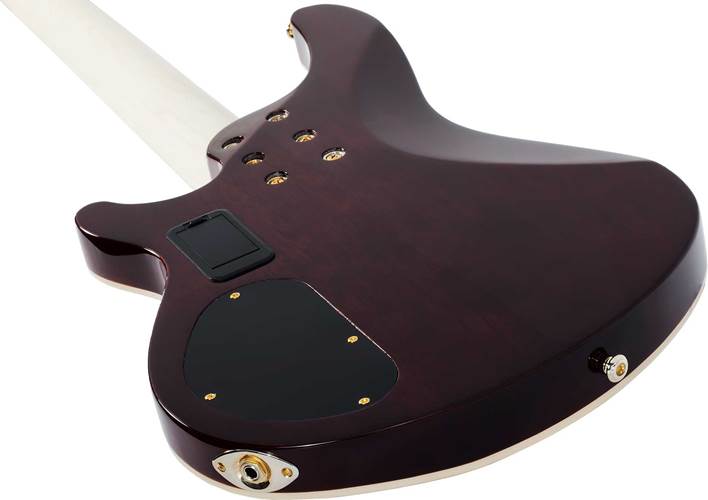 Schecter Omen Extreme-5 Gloss Natural Schecter Omen Extreme-5 Gloss Natural