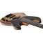 Schecter Model-T 4 Exotic Black Limba Front View