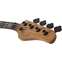 Schecter Model-T 4 Exotic Black Limba Front View