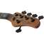 Schecter Model-T 5 Exotic Black Limba Front View