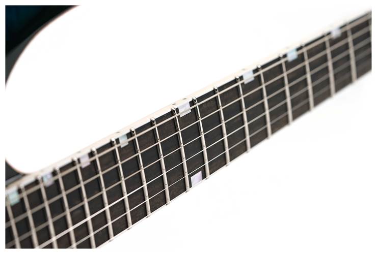 ESP USA M-II NTB FR Seymour Duncan Flame Maple Blue Rose #US24253 ESP USA M-II NTB FR Seymour Duncan Flame Maple Blue Rose #US24253