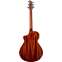 Breedlove Discovery S Concert CE Sitka Spruce/Mahogany Back View