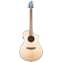 Breedlove Discovery S Concert CE Sitka Spruce/Mahogany Front View