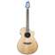 Breedlove Discovery S Concert Nylon CE Red Cedar/African Mahogany Front View