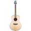 Breedlove Discovery S Concert Sitka Spruce/Mahogany Front View