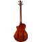 Breedlove Discovery S Concert Edgeburst Bass CE Sitka Spruce/Mahogany Back View