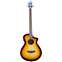 Breedlove Discovery S Concert Edgeburst Bass CE Sitka Spruce/Mahogany Front View