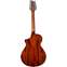 Breedlove Discovery S Concert Edgeburst 12 CE Sitka Spruce/Mahogany Back View