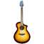 Breedlove Discovery S Concert Edgeburst 12 CE Sitka Spruce/Mahogany Front View