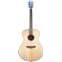 Breedlove Discovery S Concerto Sitka Spruce/Mahogany Front View