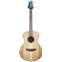 Breedlove Discovery S Companion Red Cedar/African Mahogany Front View