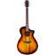 Breedlove Pursuit Exotic S Concerto Tigers Eye CE Myrtlewood Front View