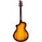 Breedlove Pursuit Exotic S Companion Tigers Eye CE Myrtlewood Back View