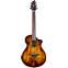 Breedlove Pursuit Exotic S Companion Tigers Eye CE Myrtlewood Front View