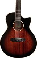 Tanglewood TW12VCEAVB Winterleaf 12 String Autumn Vintage Burst (Ex-Demo) #MF210734135