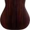 Furch Green Dc-SR Master's Choice Sitka Spruce/Indian Rosewood 